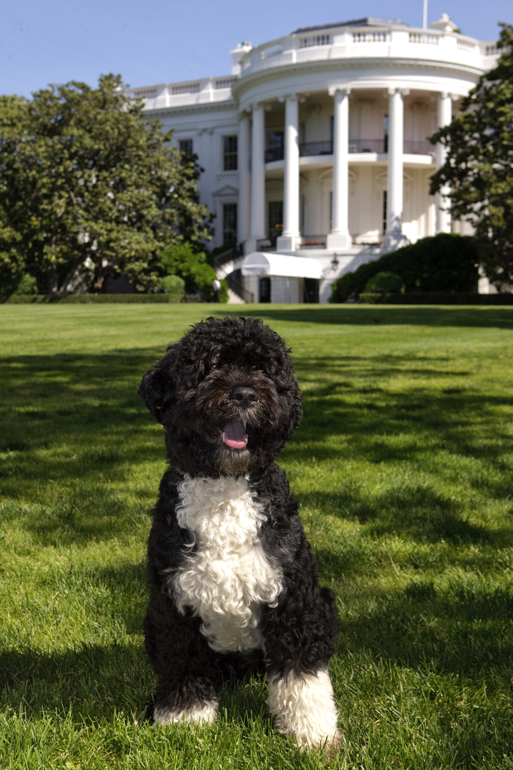 Photo by Chuck Kennedy&nbsp;| The White House