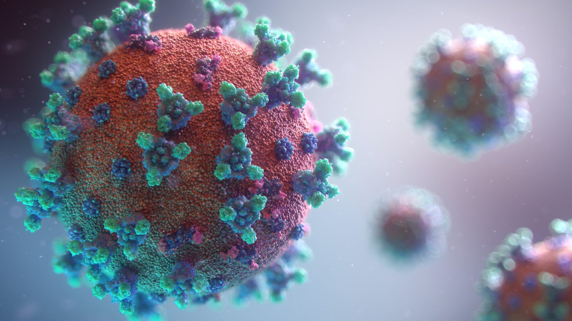 New visualisation of the Covid-19 virus (Photo by Fusion Medical Animation | Unsplash)